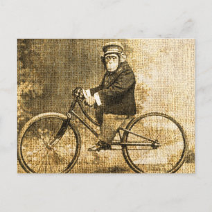 Vintage Schimpanse auf einem Fahrrad Postkarte