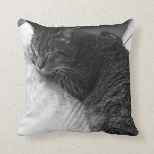 Vintage-Schlafkatzen-Foto   Kissen