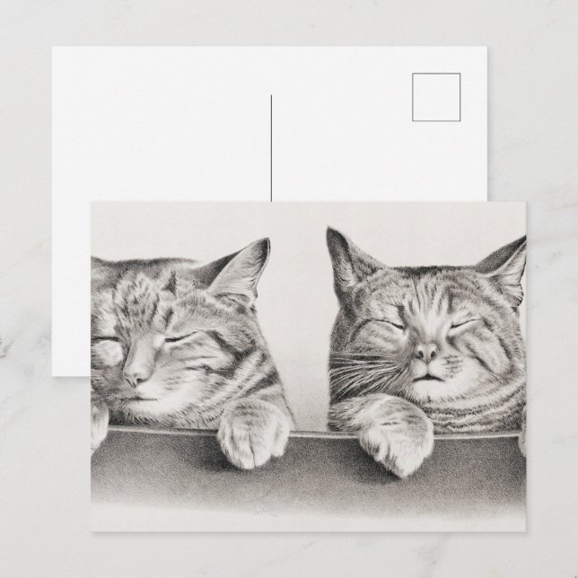 Vintage Schlafkatzen Lithograph, 1874 Postkarte (Vorne/Hinten)