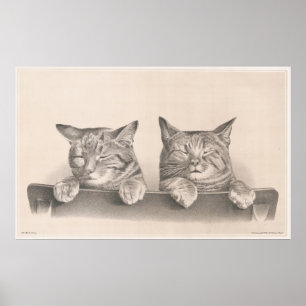 Vintage Schlafkatzen Zeichnend Kunstdruckerei Poster