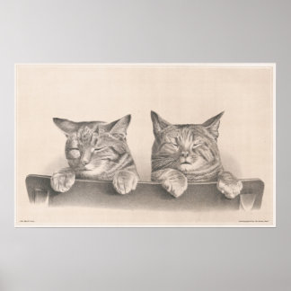 Vintage Schlafkatzen Zeichnend Kunstdruckerei Poster