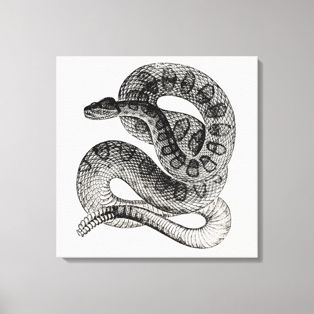 Vintage Schlangen-Reptile-Schlange Leinwanddruck (Vorderseite)
