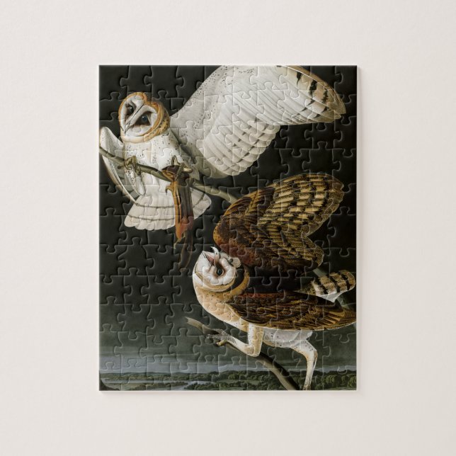 Vintage Schleiereulen Illustratation (Audubon) (Vertikal)