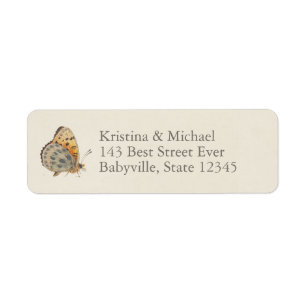 Vintage-Schmetterling-Baby-Party 