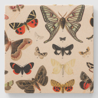 Vintage-Schmetterling-Botanik-Getränkeuntersetzer Steinuntersetzer