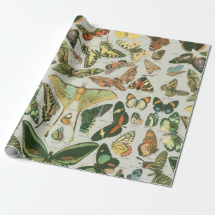 Vintage-Schmetterling-Motten-Musterdruck Geschenkpapier
