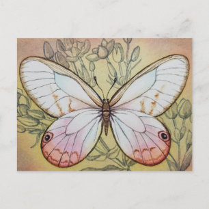 Vintage Schmetterling Nr. 6 Aquarell-Kunst Postkarte