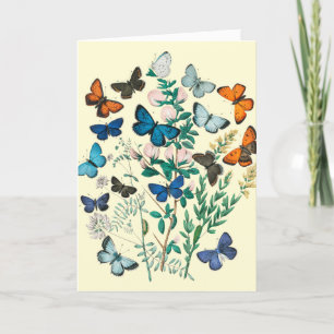 Vintage Schmetterlinge & Blumen Kunst Ihr Text, Vs Dankeskarte