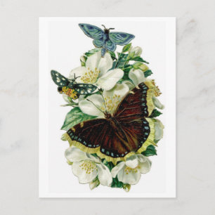 Vintage Schmetterlinge & Blumen Postkarte