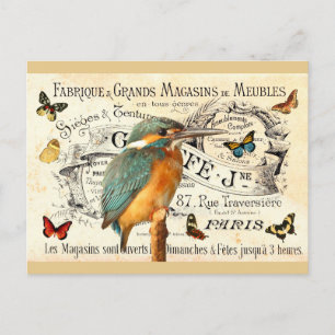 Vintage Schmetterlinge & Eisvogel auf französische Postkarte
