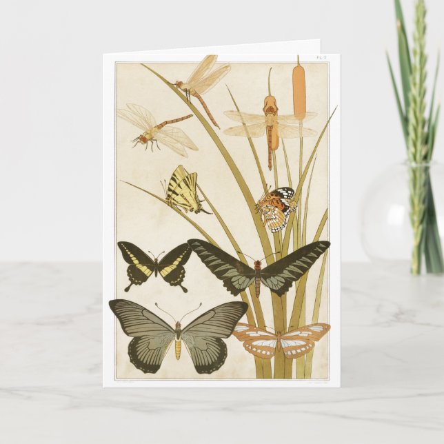 Vintage Schmetterlinge Illustration Art Karte (Vorderseite)