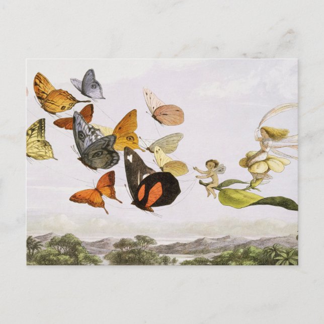 Vintage Schmetterlinge & Märchen Alte Illustration Postkarte (Vorderseite)