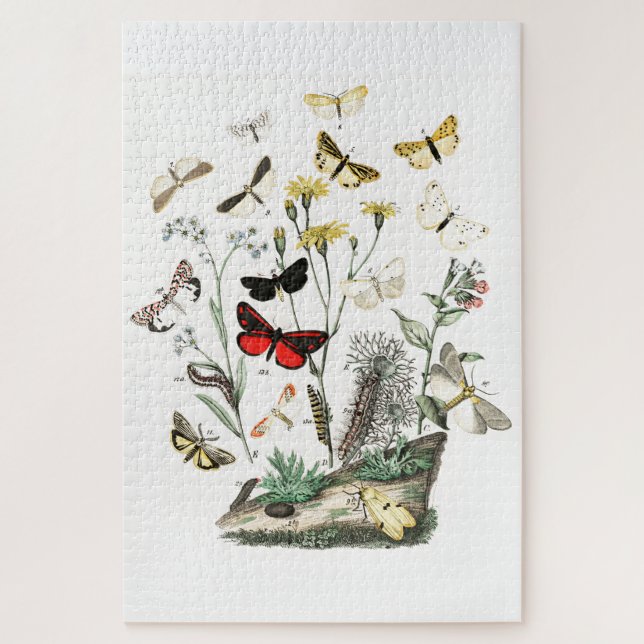 Vintage Schmetterlinge & Moths Illustration Art (Vertikal)
