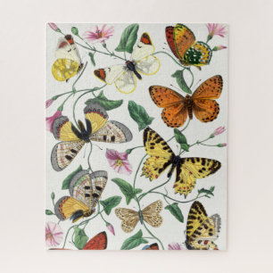 Vintage Schmetterlinge & Nachtfalter Puzzle