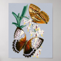 Vintage Schmetterlinge und Blumenbilder