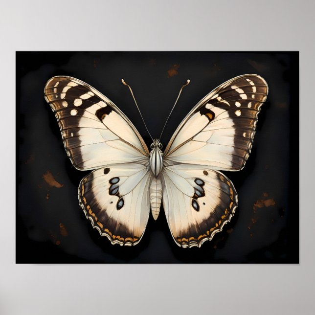 Vintage Schmetterlingeleganz, zeitlose Natur Poster (Vorne)
