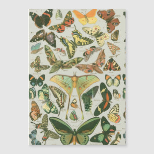 Vintage Schmetterlings-Motten-Musterdruck Magnetkarte