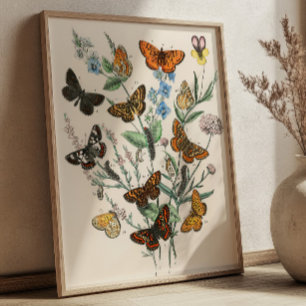 Vintage Schmetterlingsillustrationen Botanische Ku Poster