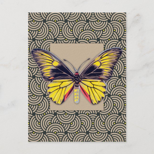 Vintage Schmetterlingskunst Postkarte (Vorderseite)