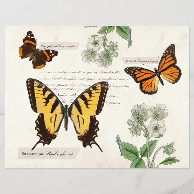 Vintage Schmetterlingsmarine Frack Monarchen Malt  (Vorderseite)