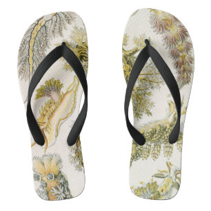 Vintage Schnecken und Meeresrauschen von Ernst Hae Flip Flops