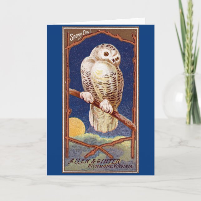 Vintage Schneeeule-Abbildung Karte (Vorderseite)