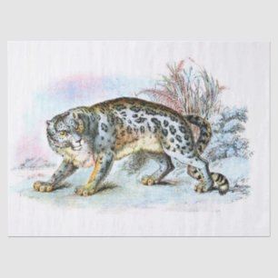 Vintage Schneeleoparden-Illustration Seidenpapier