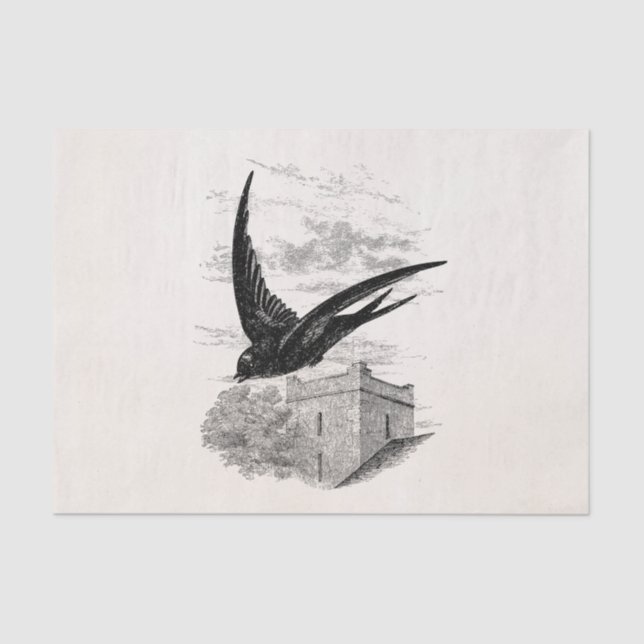 Vintage schnelle seidenpapier (Vorderseite)