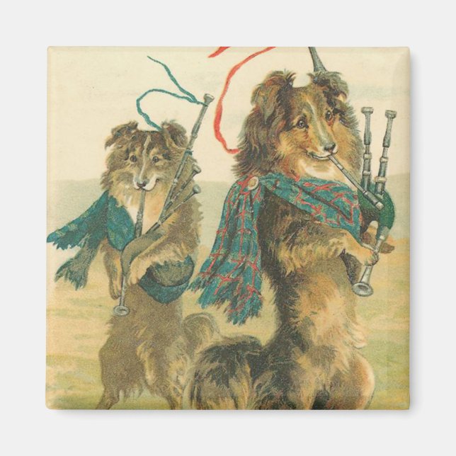 Vintage Schottische Hunde Magnet (Vorne)