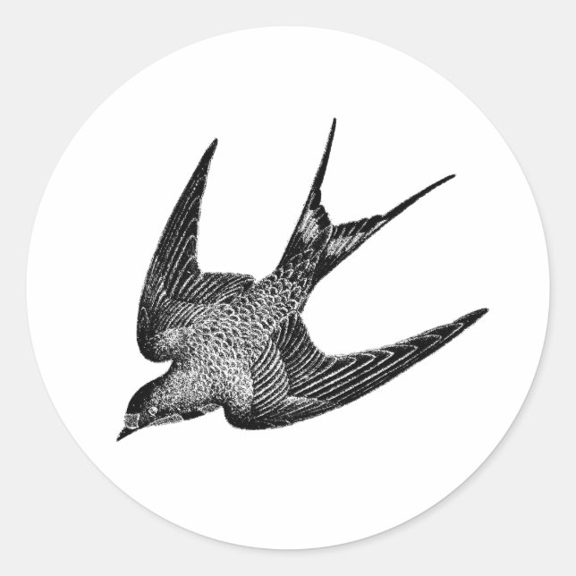 Vintage Schwalbenabbildung - Antiquitätenvogel aus Runder Aufkleber (Vorderseite)