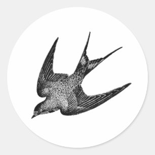 Vintage Schwalbenabbildung - Antiquitätenvogel aus Runder Aufkleber