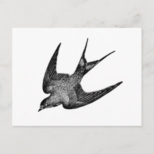 Vintage Schwalbenillustration - Retro-Vögel aus de Postkarte