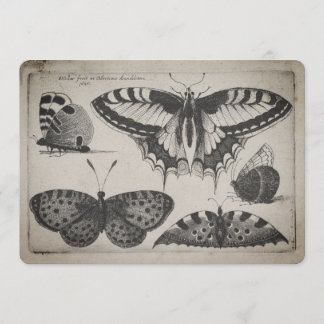 Vintage Schwalbenschwanz-Schmetterlingsillustratio Einladung