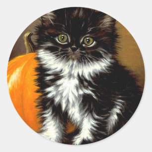 Vintage Schwarz-Weiß-Halloween-Katze Runder Aufkleber