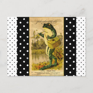 Vintage Schwarz-Weiß-Polka-Punkt-Frosch-Postkarte Postkarte