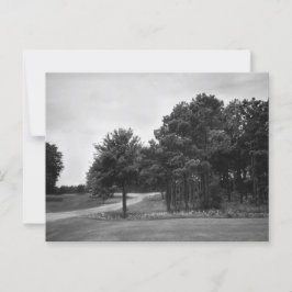 Vintage Schwarz-Weiß-Wälder-Postkarte Postkarte
