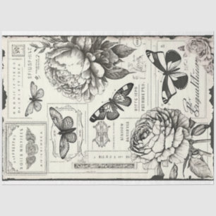 Vintage schwarz-weiße Bäuche und Schmetterlinge Seidenpapier