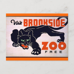 Vintage Schwarzpanther-Postkarte Postkarte