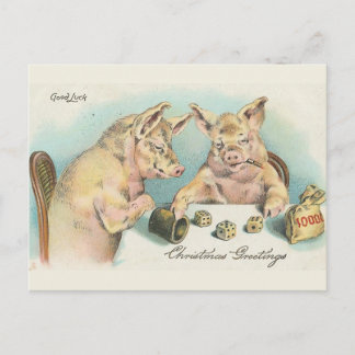 Vintage Schweine Postkarte