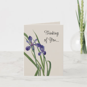 Vintage-Schwertlilien-Blumen Botanische Aquarell-N Karte