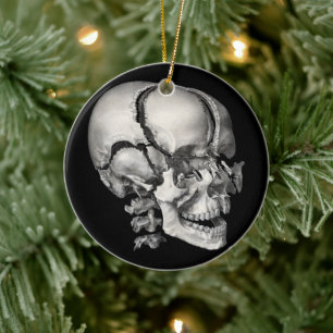 Vintage Science Human Anatomie, Antiker Schädel Keramik Ornament