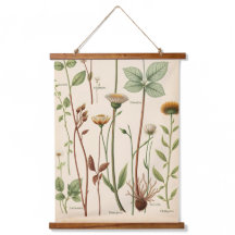 Vintage Scientific Botanical Illustration Chart