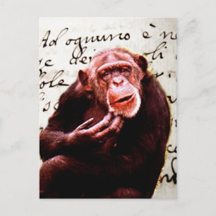 vintage scripts funny chimpanzee postkarte