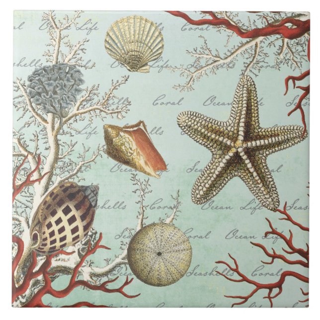 Vintage Seashells… Fliese (Vorderseite)