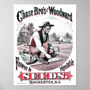 Vintage Seed Advertisement Poster