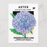 Vintage Seed Packet Art, Lila Aster-Blume
