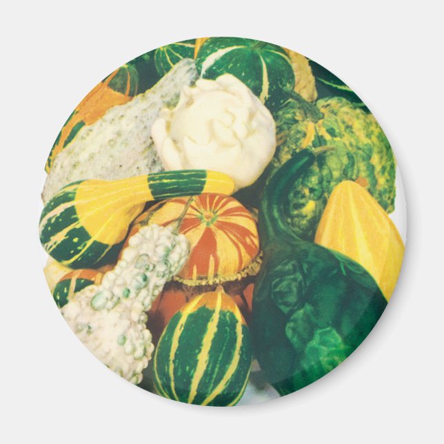 Vintage Seed Packet Art, Mixed Gourds Squash Magnet (Vorne)