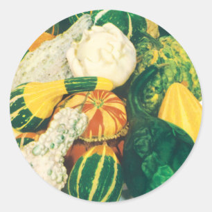 Vintage Seed Packet Art, Mixed Gourds Squash Runder Aufkleber