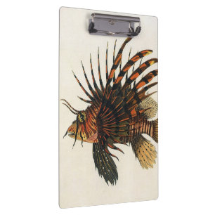 Vintage Seefische, Meeresorganismen Klemmbrett