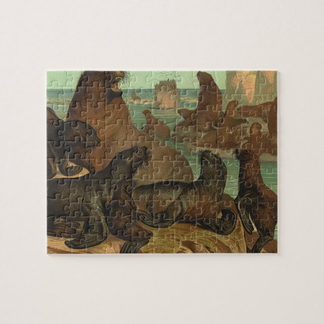 Vintage Seelöwen am Strand, Meerestiere (Horizontal)